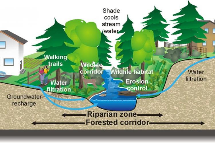 Source: https://www.facebook.com/MumbiGikuyuKaringa/posts/understanding-riparian-landkenyan-laws-define-riparian-land-as-being-a-minimum-o/956189664580827/